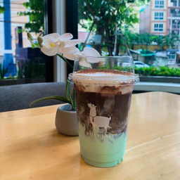 Cocoa Mint.