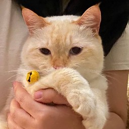 Urban Garden หนองคาย