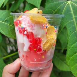 ไอศกรีมโยเกิร์ต สตอเบอรี่โยเกิต Ice Cream Yogurt สตอเบอร์รี่โยเกิร์ต -