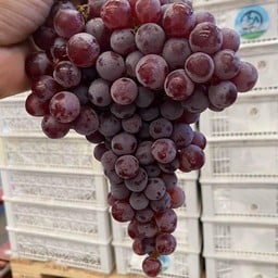 มากินกัน 1