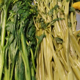 กวางตุ้ง