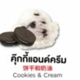 ไอติมทอด สงขลา
