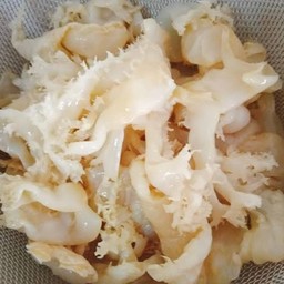 แมงกะพุน