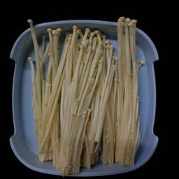 เห็ดเข็มทอง