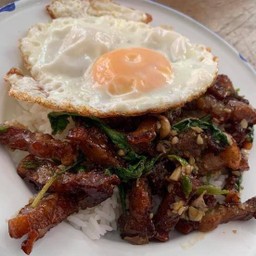 ข้าวราดกระเพราหมูกรอบ