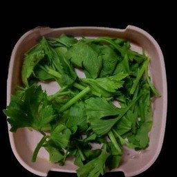 คื่นช่าย