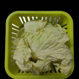 ผักกาดขาว