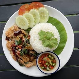 กระเพรา