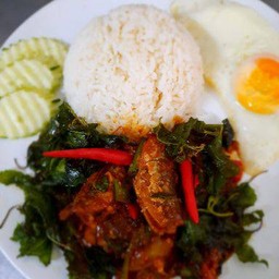 ข้าวราดกะเพราปลากระป๋อง