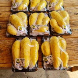 ทุเรียนโคราชบ้านเอ๋ง โคราช