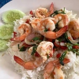 ข้าวกะเพรากุ้ง 7 ตัว