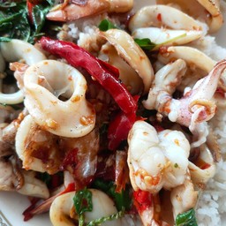 กะเพราทะเล