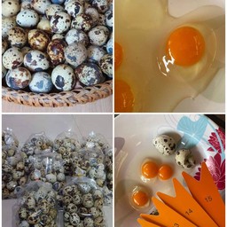 คุณต่ายไข่นกกระทาทอด ถนนคนเดินชัยภูมิ