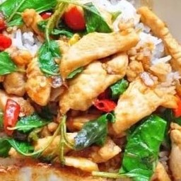 กะเพราไก่ราดข้าว