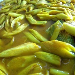 แกงใต้ป้านวล นครศรีฯ เจ้าเก่า ตลาดป้ากิ่ง