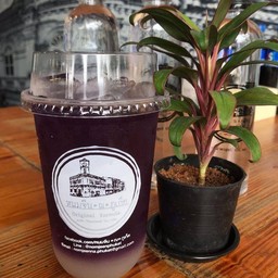 อัญชัญลิ้นจี่