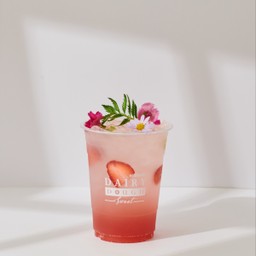 Pink Blossom