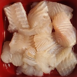 ปลาดอร์รี่