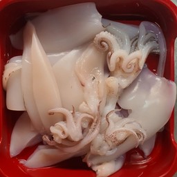 ปลาหมึก