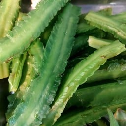 น้ำพริกเมืองพระยาพิชัย ตลาดพระเงิน