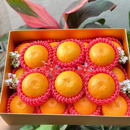 Gifts Box set ส้มล้วน