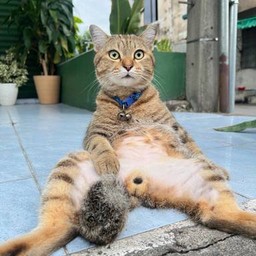 เป็นกำลังใจให้แม่ผมหน่อยนะครับ😸😸