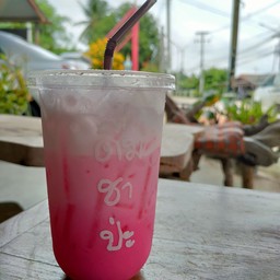 ดื่ม ชา ป่ะ