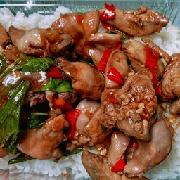 ข้าวกระเพราเครื่องในไก่