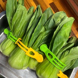 ฮ่องเต้น้อย(กวางตุ้ง)