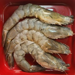 กุ้ง