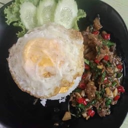 กะเพราไก่ราดข้าว