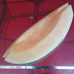 แคนตาลูป