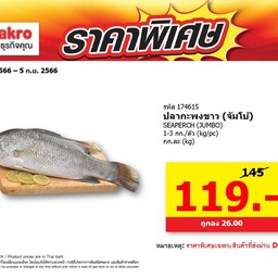 แซลมอน ซาซิมิby PP