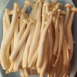 เห็ดชิเมจิ