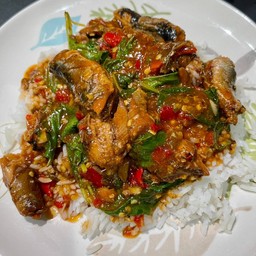 ผัดกะเพราปลากระป๋องราดข้าว