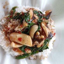 ข้าวกะเพราปลาหมึก