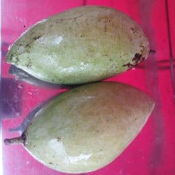 มะม่วงเปรี้ยว