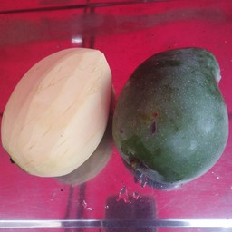 มะม่วงเปรี้ยวน้อย