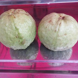 ฝรั่งสด