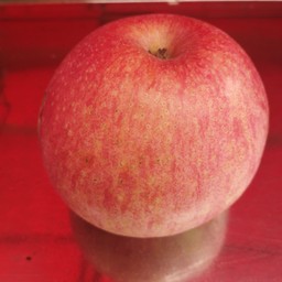 แอปเปิ้ล