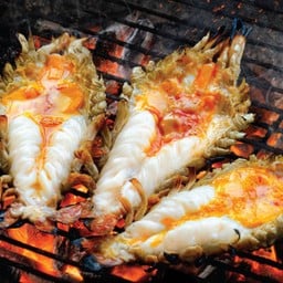 กุ้งแม่น้ำเผา ขนาด 3ตัวโล