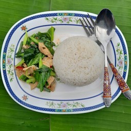 ผัดคะน้า