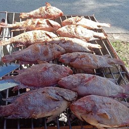 ไซร์กลาง+ชุดเมี้ยง