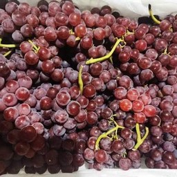 ผลไม้พร้อมทาน องุ่นคิมสัน