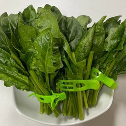 ป๋วยเล้ง