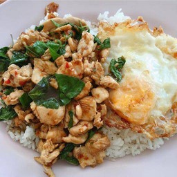 ข้าวกะเพราไก่
