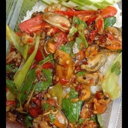 กะเพราหอยแมลงภู่ ราดข้าว