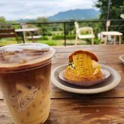 ไร่ข้าวโพดหวานคอร์นนิลี่ - Cornily Corn Farm