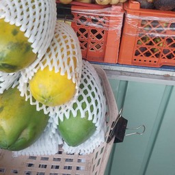 มะละกอ  ใบละ60 (ประมานลุก 6  -8ขีด