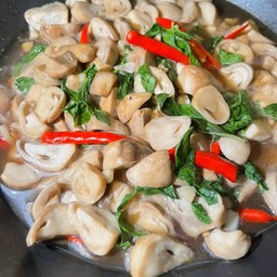 กะเพราไข่ข้น ครัวสู้ชีวิต